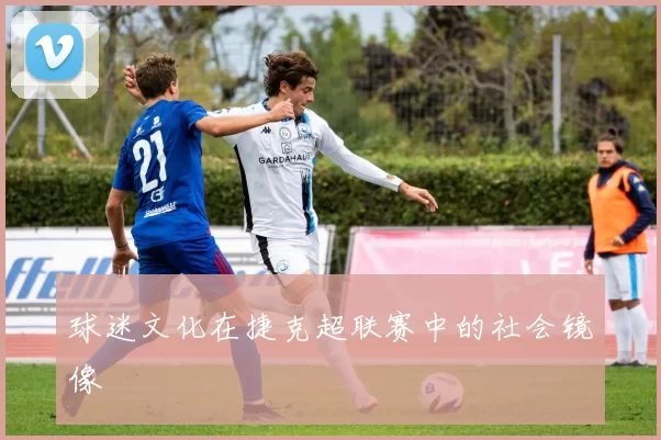 球迷文化在捷克超联赛中的社会镜像