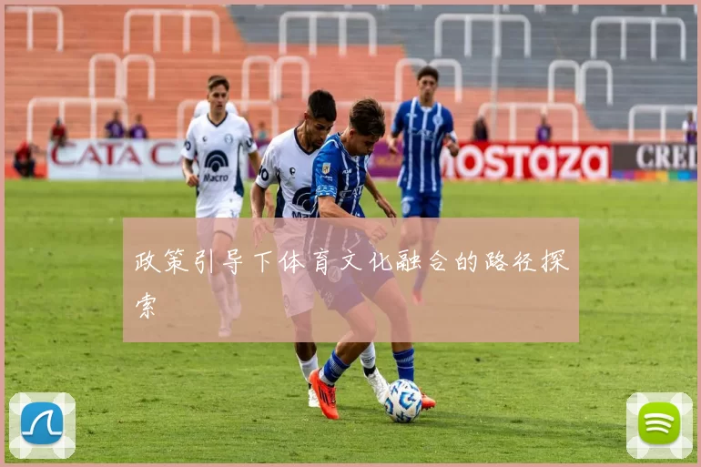 政策引导下体育文化融合的路径探索