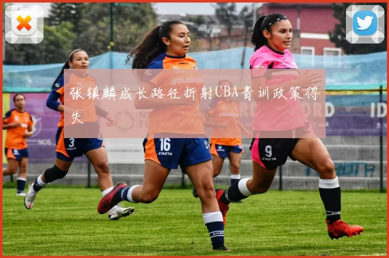 张镇麟成长路径折射CBA青训政策得失