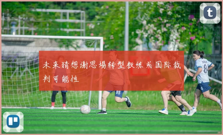 未来猜想谢思埸转型教练或国际裁判可能性