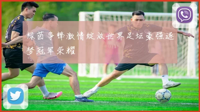 绿茵争锋激情绽放世界足坛豪强逐梦冠军荣耀