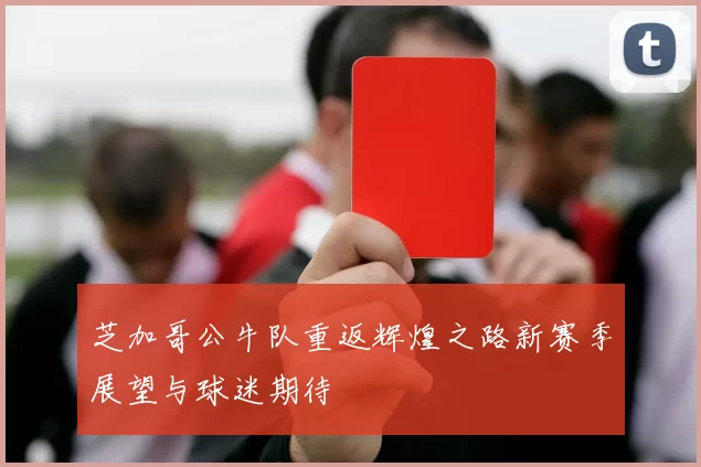 芝加哥公牛队重返辉煌之路新赛季展望与球迷期待