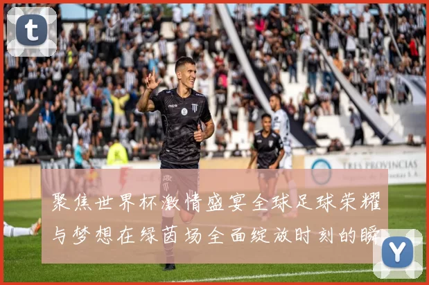 聚焦世界杯激情盛宴全球足球荣耀与梦想在绿茵场全面绽放时刻的瞬间