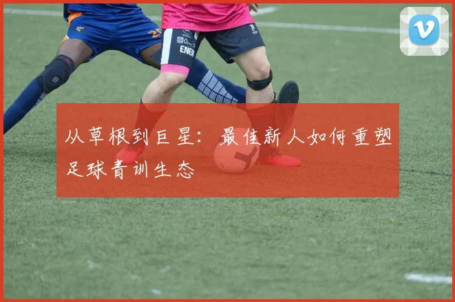 从草根到巨星：最佳新人如何重塑足球青训生态