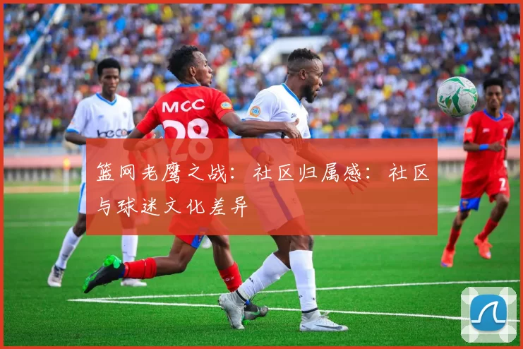 篮网老鹰之战：社区归属感：社区与球迷文化差异