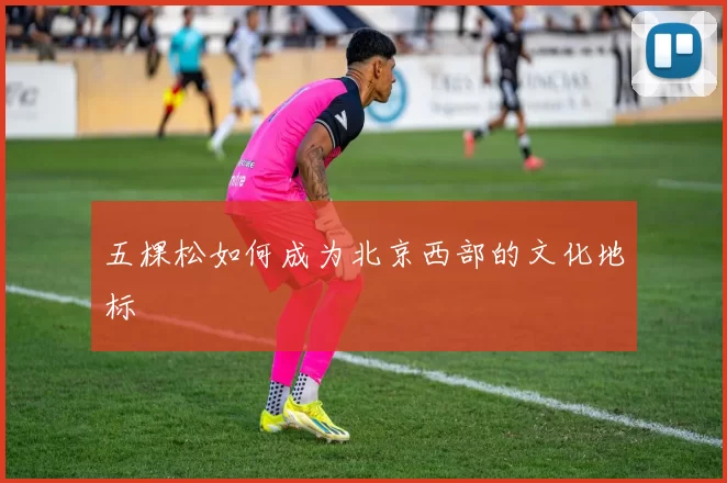 五棵松如何成为北京西部的文化地标