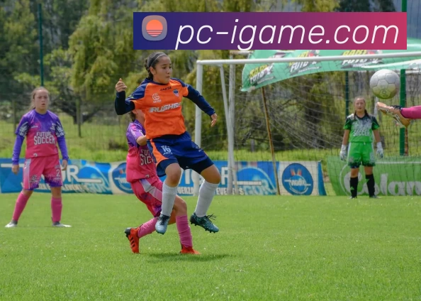 App Interface Preview